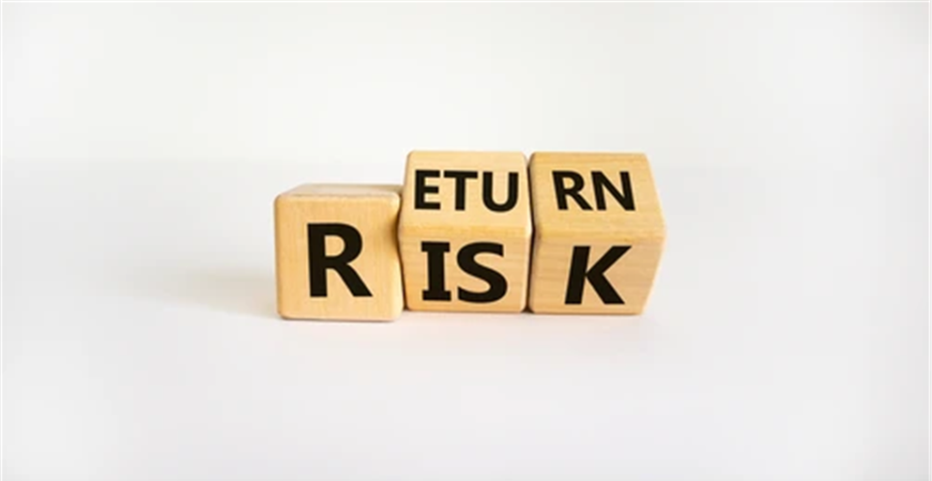 المخاطر إلى العائد